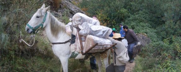 Retiran más de una tonelada de basura del Tajo del Abanico, Las labores de limpieza, en las que participaron medio centenar de voluntarios, se centraron principalmente en el arroyo de Sijuela, 22 Oct 2012 - 20:02