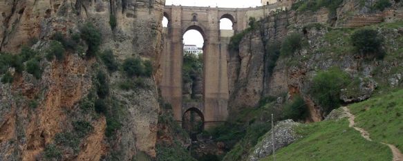 Medio Ambiente pone en marcha un dispositivo de limpieza en el Puente Nuevo y el Tajo , Según las previsiones, el miércoles se retirarán con una grúa entre cuatro y cinco toneladas de basura , 29 Oct 2012 - 17:38