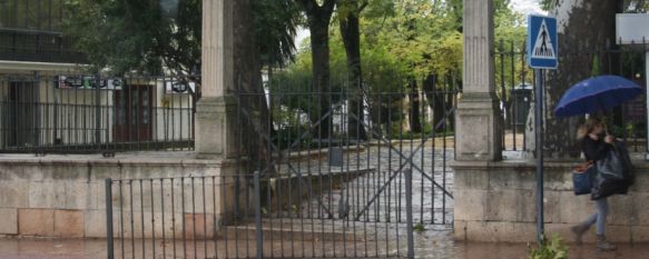 El temporal de viento y lluvia vuelve a provocar varias incidencias en Ronda, Parques y Jardines ha decretado esta mañana el cierre de la Alameda del Tajo, mientras que los bomberos han intervenido para evitar varios desprendimientos, 07 Nov 2012 - 15:56