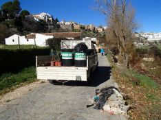 Finalmente, se plantaron un centenar de ejemplares propios de de la zona. // CharryTV