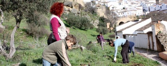 Una veintena de voluntarios participan en la reforestación en las Murallas del Carmen, En la actividad desarrollada en la mañana de ayer se plantaron más de cien arbustos autóctonos, 28 Jan 2013 - 19:33