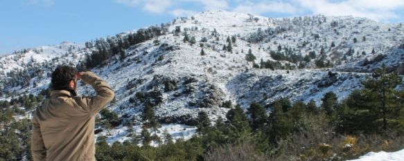 La Serranía de Ronda registra la tercera nevada del año, AEMET activa de nuevo la alerta amarilla para la jornada del viernes por fuertes rachas de viento, 20 Feb 2013 - 16:09