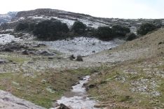 Imagen de esta mañana en el Puerto del Viento.  // CharryTV