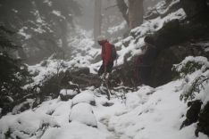 La Cañada del Cuerno, en el Parque Natural de la Sierra de las Nieves, este mediodía.  // Pedro Chito