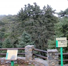 La Junta lo declaró Monumento Natural de Andalucía en noviembre de 2001. // CharryTV