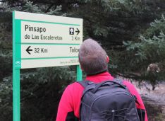El pinsapo constituye uno de los principales atractivos del Parque Natural de la Sierra de las Nieves. // CharryTV