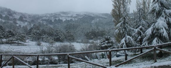 La nieve cubre de blanco la Serranía de Ronda en plena primavera, Los termómetros se desploman a valores invernales en una jornada en la que también granizó en la ciudad, 28 Apr 2013 - 19:29