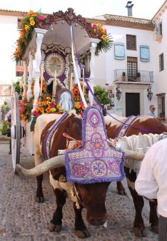 Imagen del Simpecao de la Hermandad de Ronda, que llegará a la aldea el viernes. // CharryTV