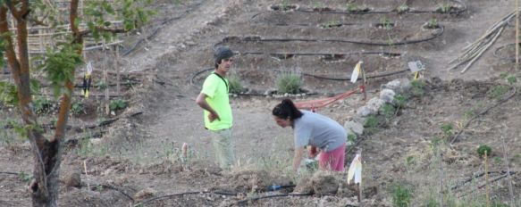 Silvema cede parcelas para huertos a una treintena de vecinos de Ronda, Cuentan con una superficie de entre 70 y 130 metros cuadrados y los usuarios pagan 1,2 euros por metro al año, 17 Jun 2013 - 12:36