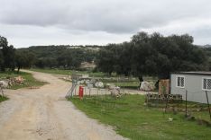 Entrada principal a la finca de Los Merinos.  // CharryTV