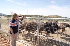 El sudafricano Ian Milstein nos ha mostrado hoy su finca. // CharryTV