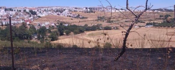 Arden dos hectáreas de pasto en un incendio en la barriada de Padre Jesús, La quema de restos de poda fue el origen del siniestro, que quedó extinguido pasadas las dos de la tarde, 08 Aug 2013 - 18:20