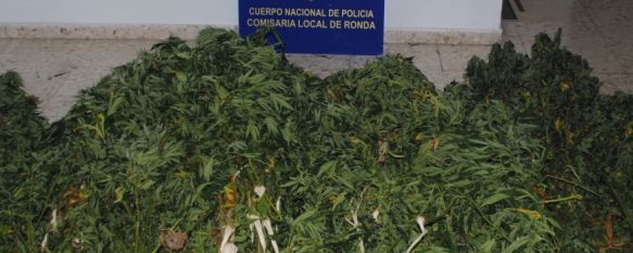 La Policía detiene a dos personas en Las Peñas en una operación antidroga, Otras cinco personas, dos de ellas menores de edad, han resultado detenidas en Serrato tras cometer hurtos en el interior de vehículos, 04 Sep 2013 - 12:05