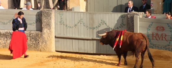 Morante de la Puebla, durante su encierro en el coso rondeño. // CharryTV