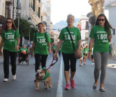 Las mascotas también han formado parte de la marea verde. // CharryTV