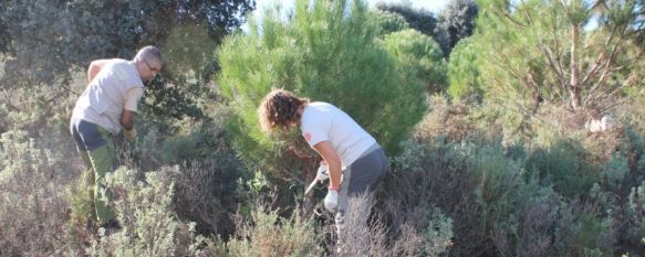 Señalizan el Parque Periurbano de La Dehesa y crean una charca para la fauna anfibia, Los trabajos se realizaron el domingo y en la zona recreativa se colocará una placa para recordar al profesor Paco Marín, 21 Oct 2013 - 17:30