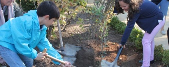 Un árbol recuerda en la Alameda del Tajo la figura del profesor Paco Marín, El acto fue organizado por la Plataforma Ciudadana por los Parques, los Jardines y el Paisaje de Sevilla, junto con la Asociación Cultural Almenara, 21 Oct 2013 - 17:57