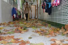 Los pasillos se han visto repletos de hojas secas. // CharryTV