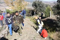 Los alumnos han plantado especies propias de la zona. // CharryTV