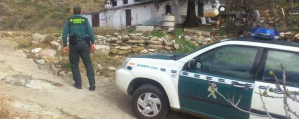 Los agentes encontraron un cerdo muerto en el interior de un vehículo. // Guardia Civil.