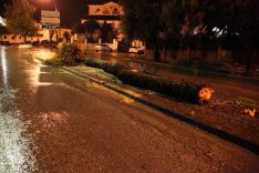 El viento arrancó una palmera de la avenida Ricardo Navarrete. // CharryTV