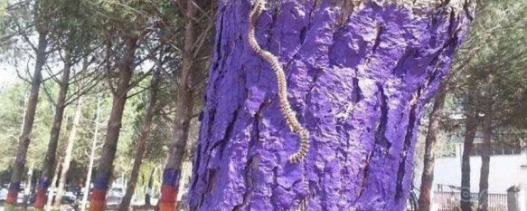 Las orugas procesionarias continúan campando a sus anchas por el parque canino, Protectoras de animales como RAU recomiendan a la ciudadanía no llevar a sus mascotas a estas instalaciones, 19 Mar 2014 - 18:07