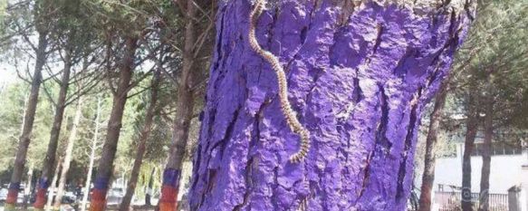 Las orugas procesionarias continúan campando a sus anchas por el parque canino, Protectoras de animales como RAU recomiendan a la ciudadanía no llevar a sus mascotas a estas instalaciones, 19 Mar 2014 - 18:07