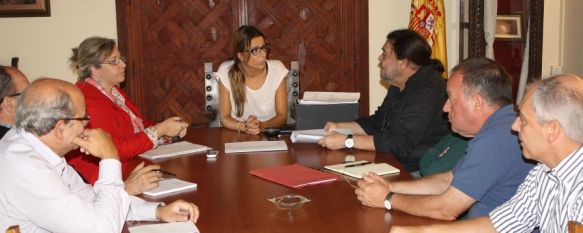 Anulan la contratación de la empresa encargada de la redacción del PGOU en Ronda, Una sentencia de lo Contencioso Administrativo dictamina que el procedimiento de adjudicación de ‘Territorio y Ciudad’ es irregular, 10 Sep 2014 - 19:52