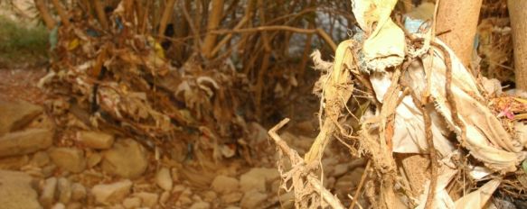 Medio Ambiente y la red de voluntarios medioambientales han promovido la campaña de limpieza antes de la llegada de las lluvias. // Pedro Chito