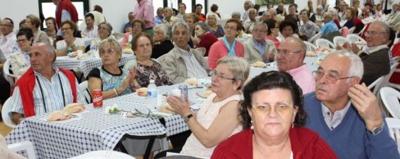 Ronda homenajea a sus mayores y reconoce la labor de quienes trabajan por este colectivo, El evento se ha desarrollado con motivo del Día Internacional de las Personas Mayores, 10 Oct 2014 - 18:27