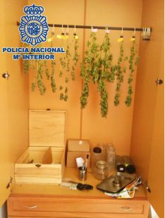 En el interior del domicilio se localizaron útiles para el tráfico de marihuana. // Policía Nacional.