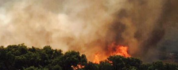 Declarado un incendio en la zona militar de Navetas, La UME está actuando para extinguir el fuego, mientras que efectivos del Infoca y del Parque de Bomberos de Ronda permanecen en la periferia, 02 Jul 2015 - 16:51