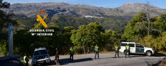 Los sucesos han tenido lugar en la pasada campaña. // Guardia Civil.