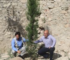 Medio Ambiente y Gestión de Fauna han plantado tres árboles para compensar la tala del nogal. // Maribel Chito