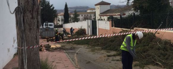 La calle Dolores Ibárruri ha sido una de las zonas más afectadas de la ciudad. // CharryTV