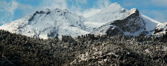 El Parque Sierra de las Nieves cuenta con una extensión de 23.000 hectáreas. // i-sierradelasnieves