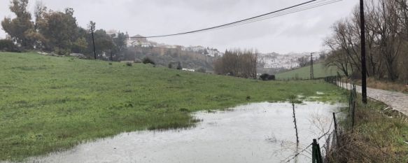 La AEMET mantendrá activa la alerta amarilla en Ronda hasta la medianoche , Vuelven a abrir al tráfico el Arroyo de las Culebras y todavía se puede circular por el Puente Nuevo , 02 Mar 2018 - 20:16