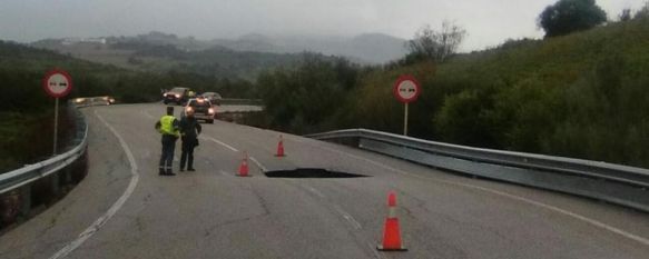 Desde hoy solo se puede acceder a la capital hispalense por Grazalema  // Centro de Conservación de Cádiz 