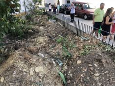 En el jardín donde se encontraban estos árboles aún quedan restos de las raíces que los operarios no han retirado // CharryTV