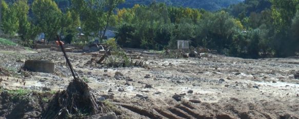 Sijuela y La Indiana son las zonas más afectadas a día de hoy tras el temporal de finales de octubre. // CharryTV