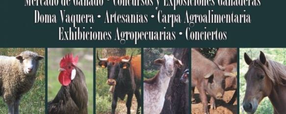 AgroRonda homenajea a la feria más antigua de Ronda, la de 1509, mediante exhibiciones hipicas, degustaciones de productos locales, y el tradicional Mercado de Ganado. // CharryTV