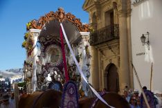 Como cada año dos inmensos bueyes llevarán la carreta del simpecado en su camino hacia El Rocío. // Teresa Valdenebro