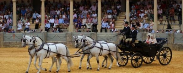 El Concurso Exhibición de Enganches no se celebrará este año tras 42 ediciones, En un comunicado el Ayuntamiento expresa la imposibilidad de llegar a un acuerdo con la Real Maestranza tras el cambio de fecha propuesto, 02 Aug 2019 - 16:30