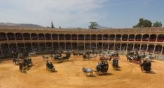 Imagen del Concurso-Exhibición de Enganches en la plaza de toros de Ronda  // CharryTV