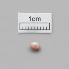 La perla hallada no supera los tres milímetros de diámetro. // CharryTV