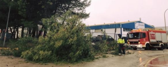 Fotografía de archivo de las consecuencias de un temporal en Ronda. // CharryTV