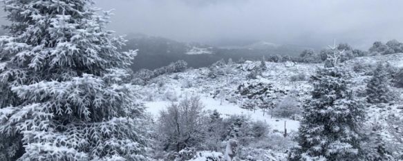 Caen los primeros copos de nieve del año en Ronda, La AEMET ha activado el aviso amarillo por acumulación de nieve entre las cinco de la tarde y las diez de la noche, 20 Jan 2020 - 17:12