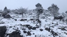 Otra de las estampas que ha dejado la nieve en Sierra de las Nieves. // José Carlos Orozco