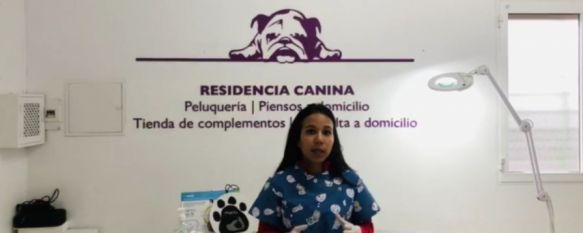 La doctora Vázquez explica las diferencias entre el tipo de coronavirus que afecta a los perros y a las personas. // CharryTV