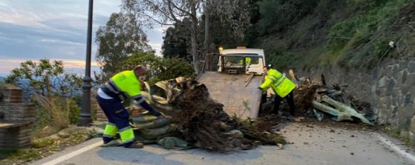 Diputación restablece el acceso a Genalguacil tras un desprendimiento por las lluvias, Dos grandes pitas cayeron anoche a la travesía de acceso al pueblo desde Jubrique debido al debilitamiento del talud de la carretera por precipitaciones, 30 Mar 2020 - 10:34